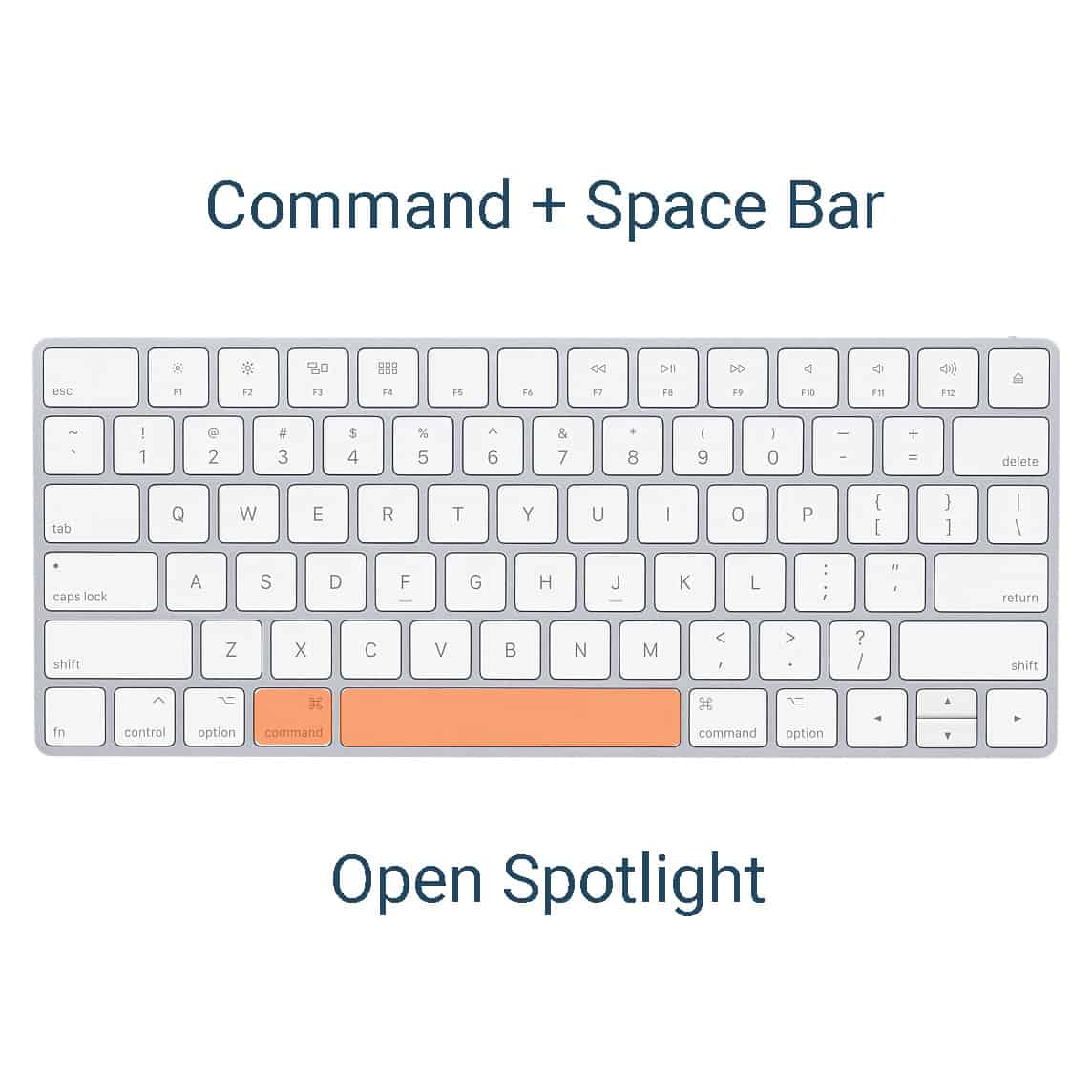 spotlight search mac shortcut